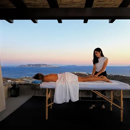 Vogue Mykonos Villa *